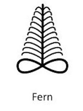 Fern Symbol