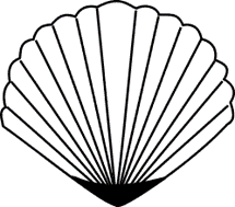 Sea Shells Symbol